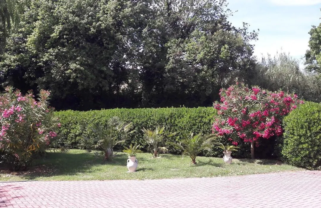 Villa Fabbri-1